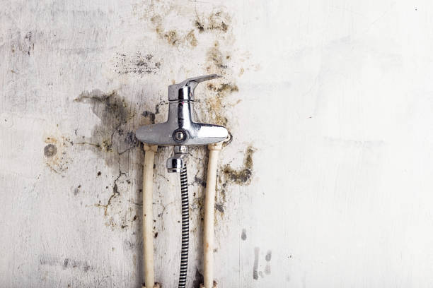 Best Water Damage Restoration  in Minersville, PA