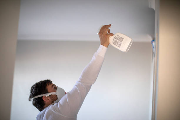 Best Mold Removal Near Me  in Minersville, PA